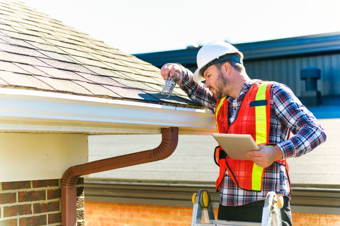 10 Crucial Steps In Professional Roof Inspection - Home Senator