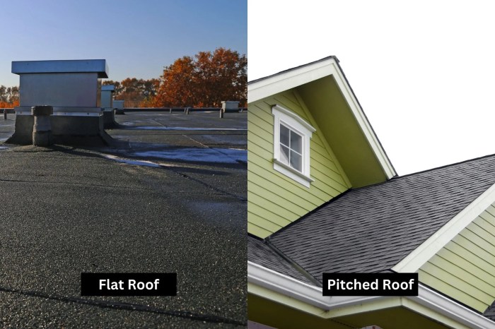 Flat Roof vs. Pitched Roof: Making Right Choice for Your Home
